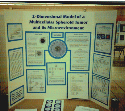 how to decorate a poster board for a science project