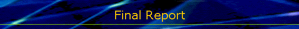 Final Report