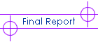 Final Report