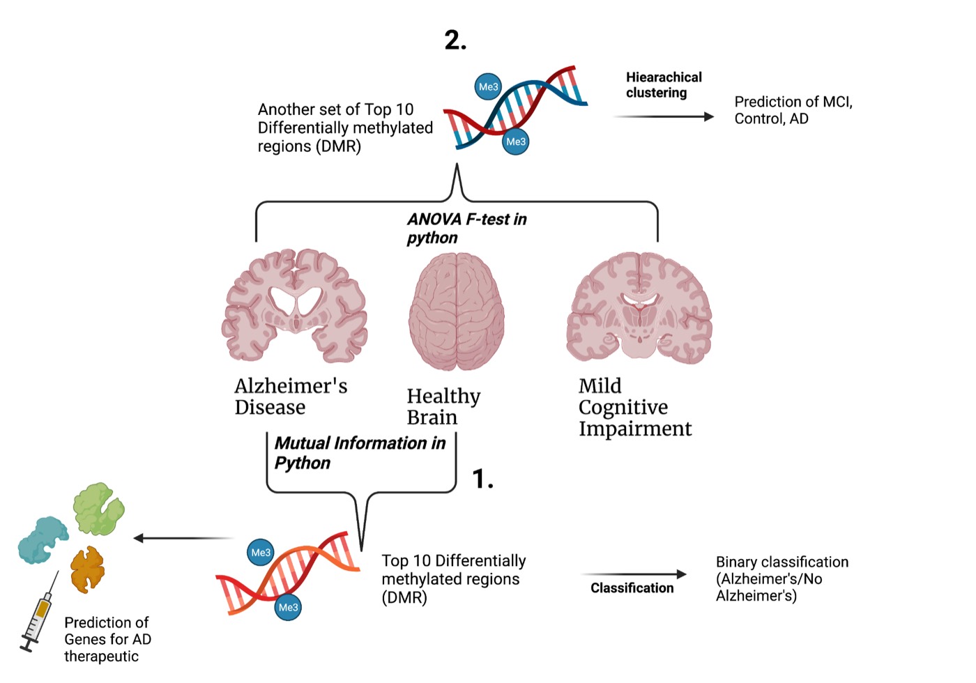 Diagram of a machine-learning pipeline from DNA methylation to Alzheimer’s classification
